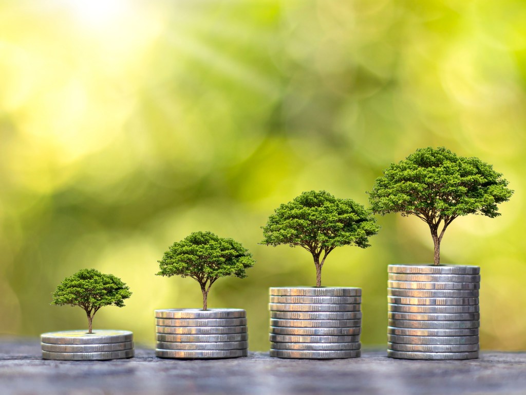 Financial Tips for Interpreters: Navigating the Path to Financial&nbsp;Stability