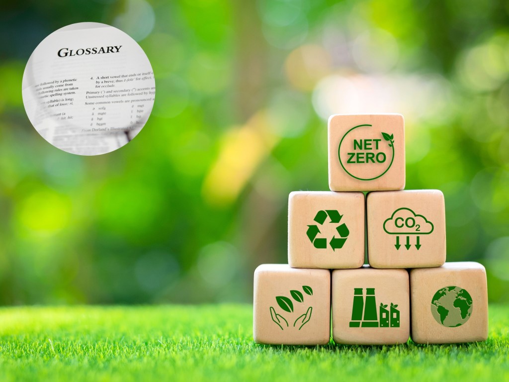 Glossary of Decarbonization&nbsp;Terms