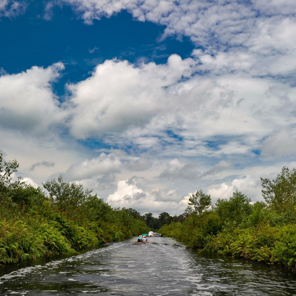 Remote Sensing in Peatland Management: Key Terms and Translations | Bahasa&nbsp;Interpreters